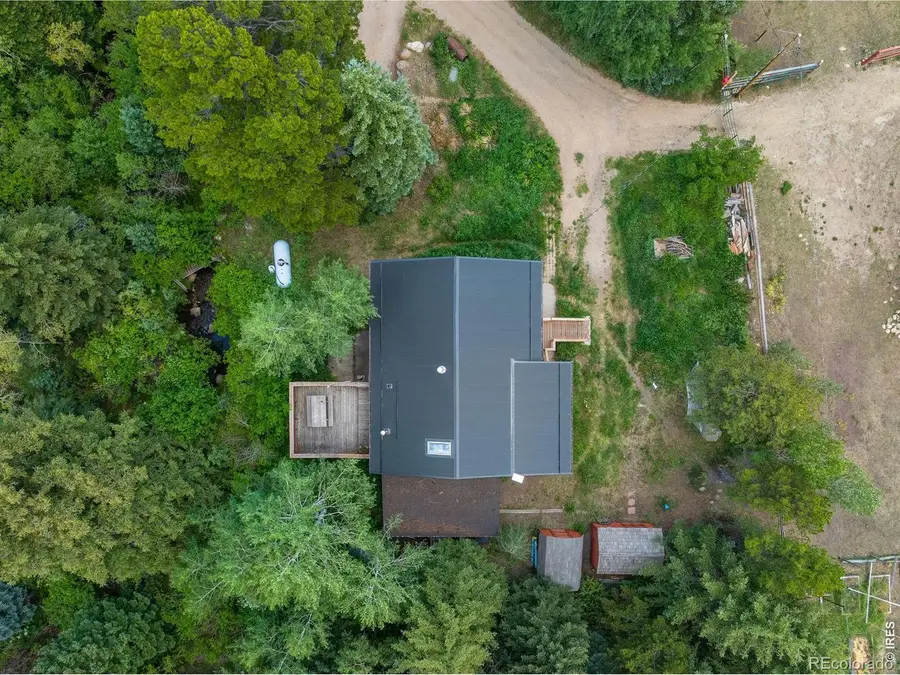 425 Caribou Road, Nederland, CO 80466 - #2