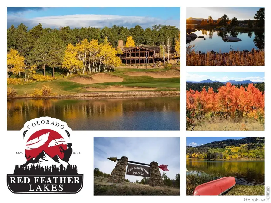 224 Six Elk Court, Red Feather Lakes, CO 80545 - #3