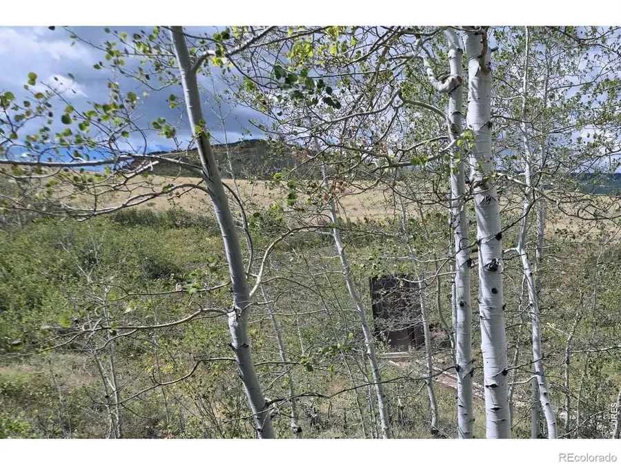 1245 Plano Road, Livermore, CO 82070 - #2