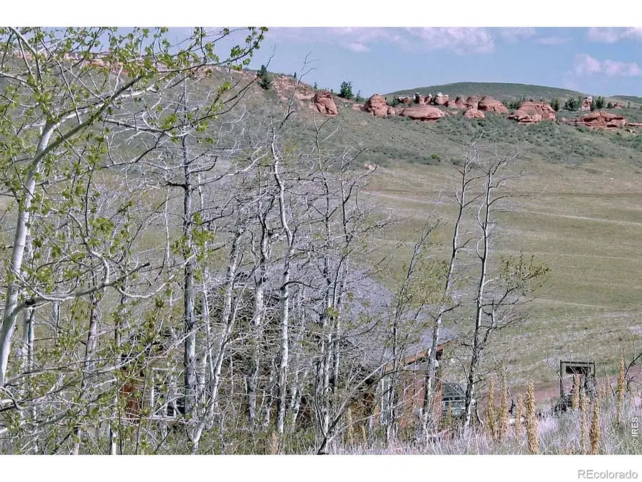 1245 Plano Road, Livermore, CO 82070 - #3
