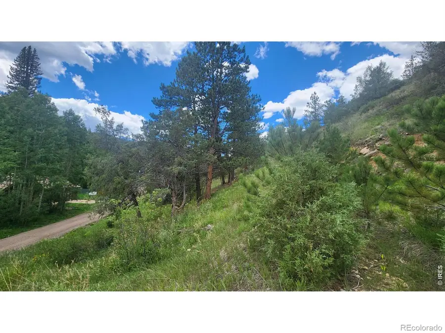 0 Streamside Drive, Glen Haven, CO 80532 - #3