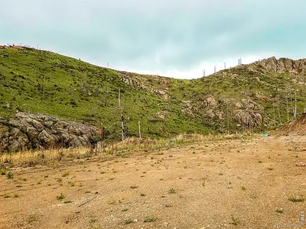151 Black Mountain Court, Livermore, CO 80536