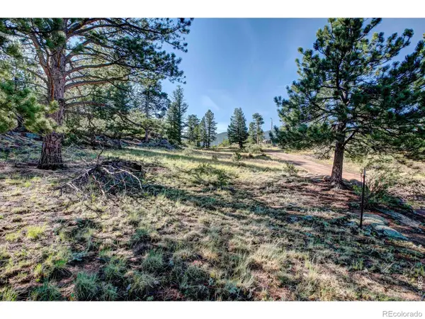 2710 Sunset Lane, Estes Park, CO 80517