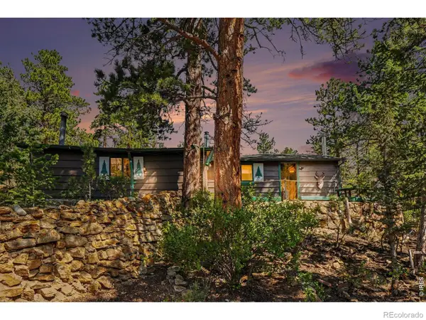 360 Ski Road E, Allenspark, CO 80510