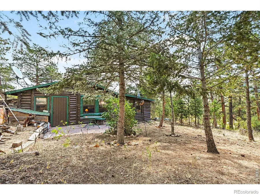 360 Ski Road E, Allenspark, CO 80510 - #2