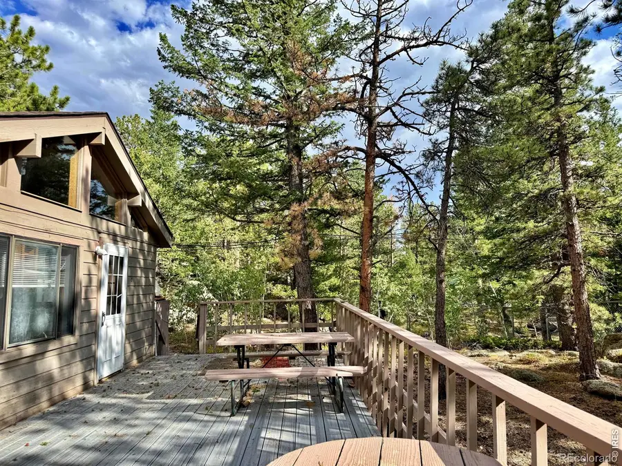 6687 Overland Road, Ward, CO 80481 - #3