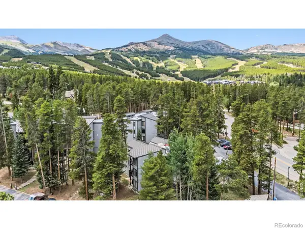 1155 Ski Hill Road #117, Breckenridge, CO 80424