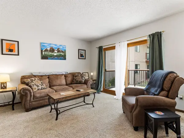 1155 S Saint Vrain Avenue #8, Estes Park, CO 80517