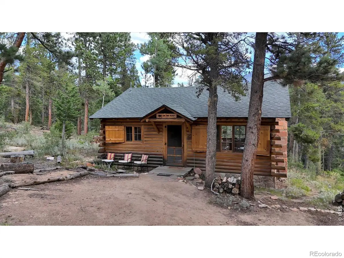 628 County Road 113s, Allenspark, CO 80540 - #1