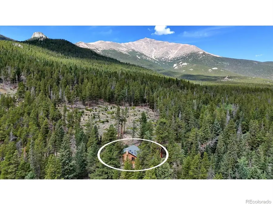 628 County Road 113s, Allenspark, CO 80540 - #2