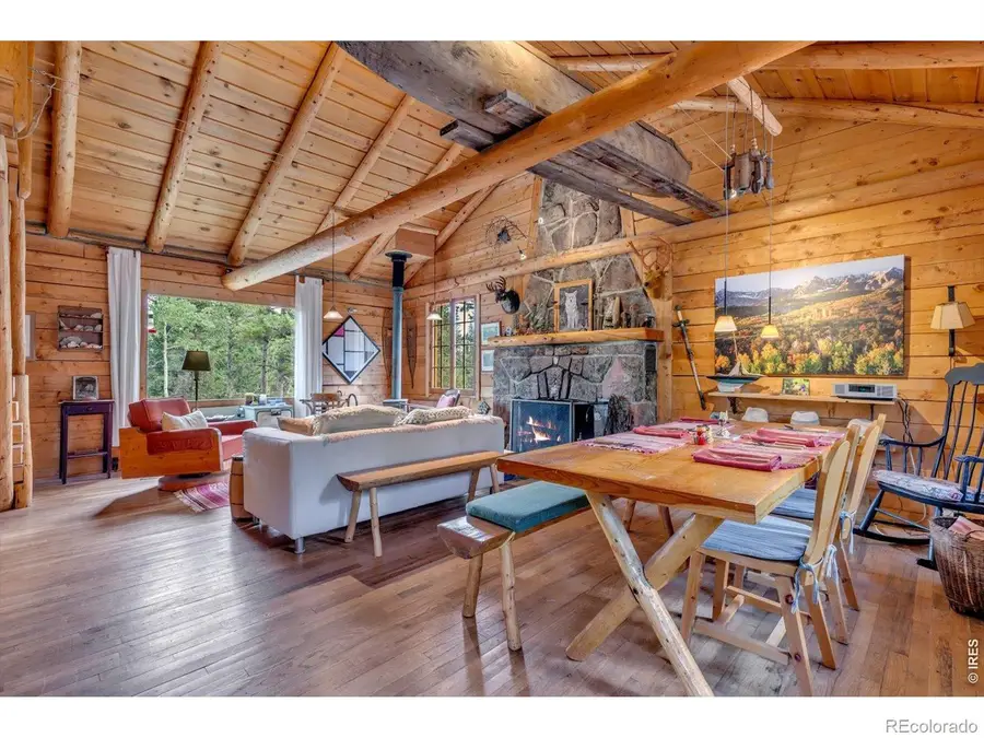628 County Road 113s, Allenspark, CO 80540 - #3