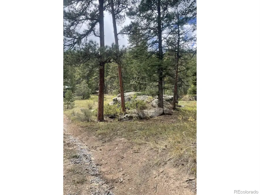 0 Cedar Drive, Lyons, CO 80540 - #2