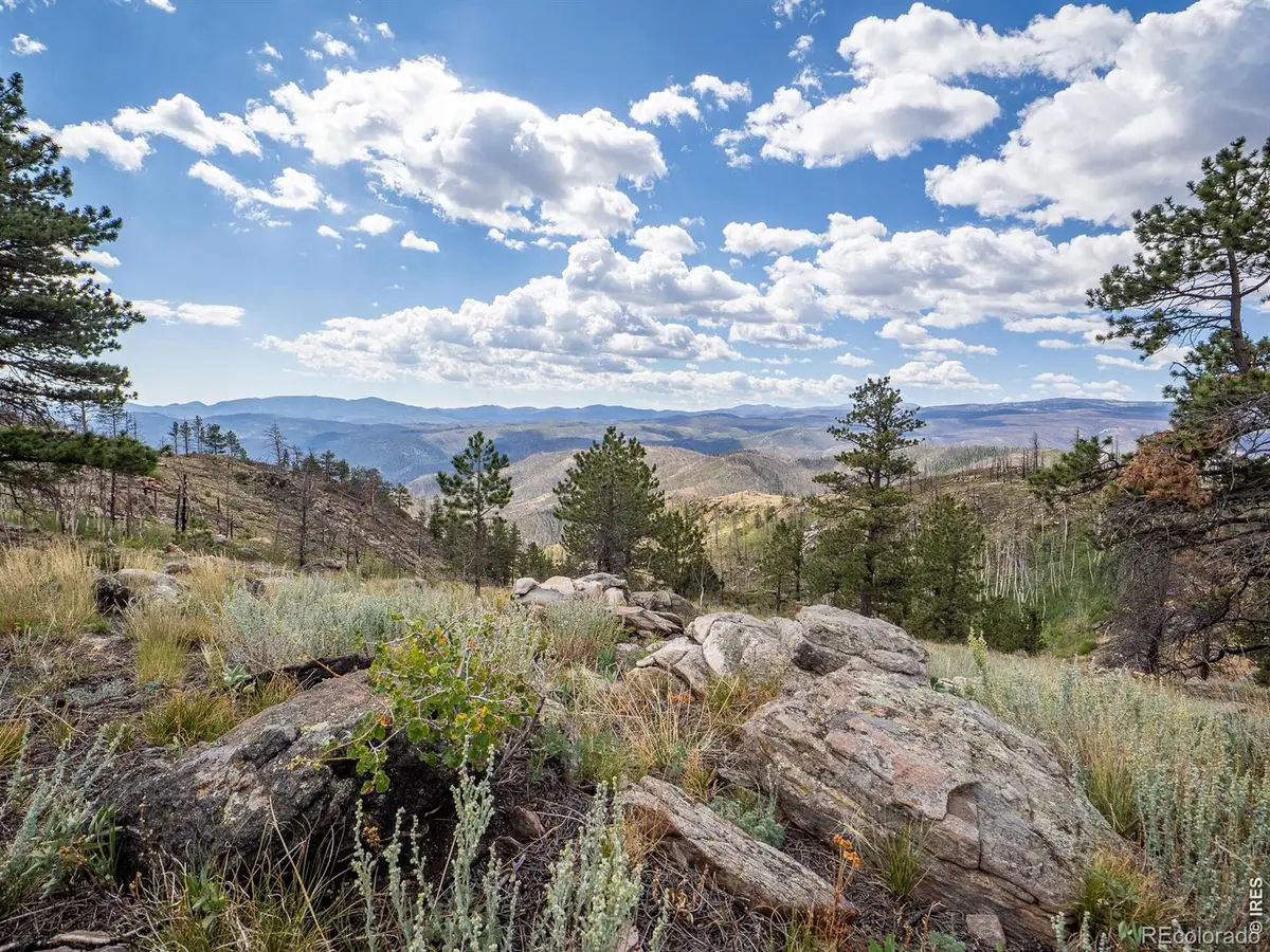 909 Forest Road 171, Red Feather Lakes, CO 80545 - #1
