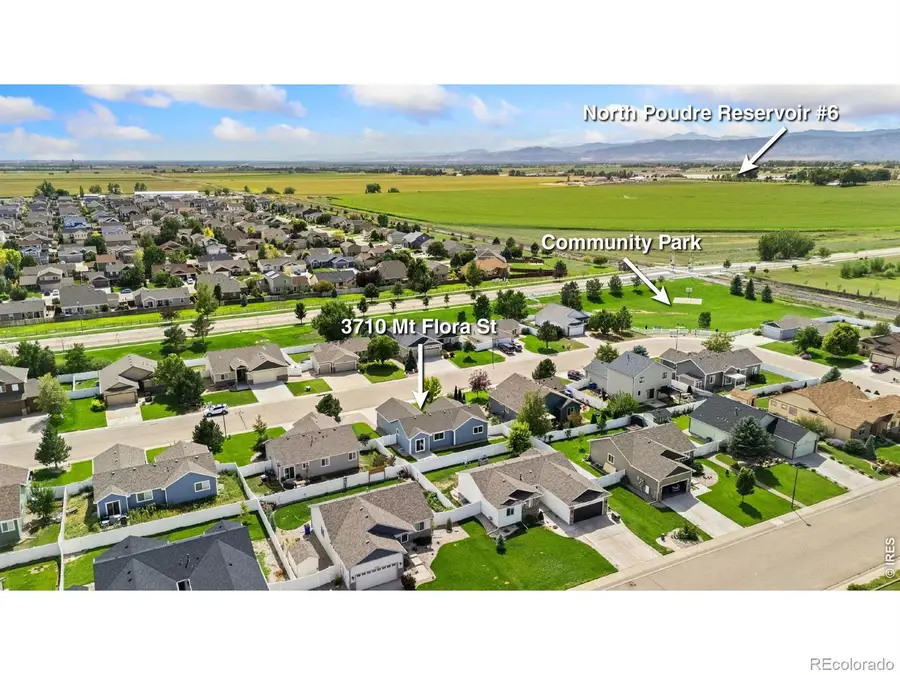 3710 Mount Flora Street, Wellington, CO 80549 - #2