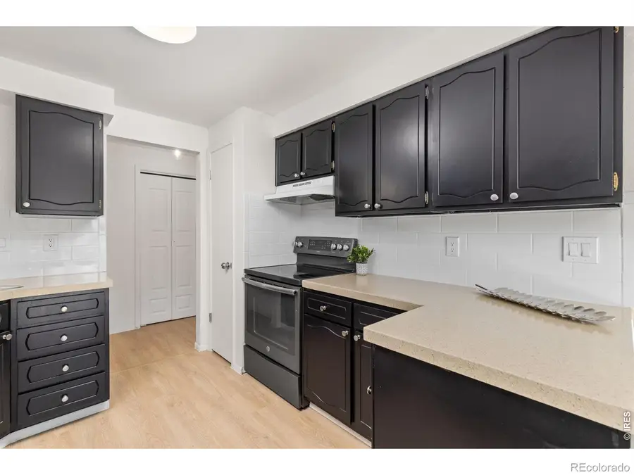 925 Bragg Place, Longmont, CO 80501 - #3