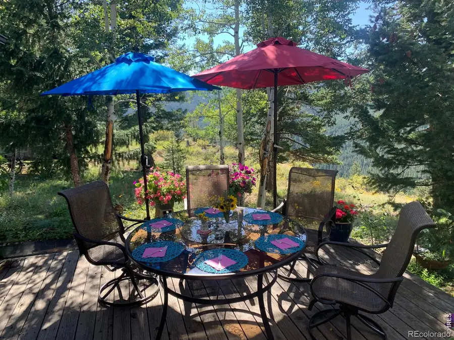 129 Sky View Drive S, Nederland, CO 80466 - #3