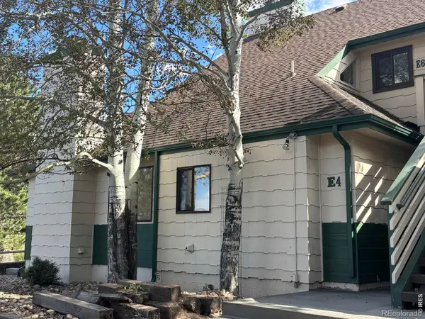 1010 S Saint Vrain Avenue #4, Estes Park, CO 80517