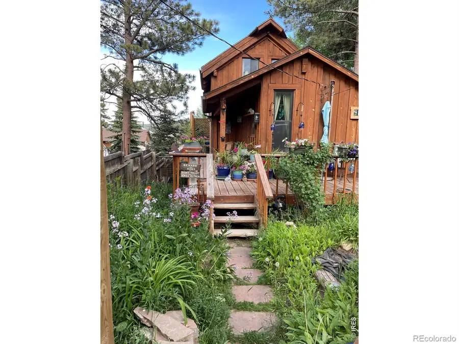 131 S Jackson Street, Nederland, CO 80466 - #2