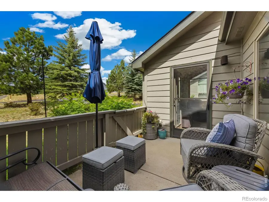 1630 Raven Circle #D, Estes Park, CO 80517 - #3