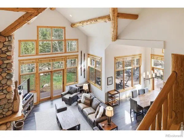 590 Water Dance Drive, Frisco, CO 80443