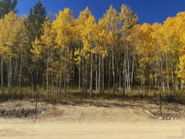 75 Overland Drive, Ward, CO 80481