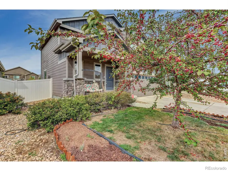 1832 Ruddlesway, Windsor, CO 80550 - #2