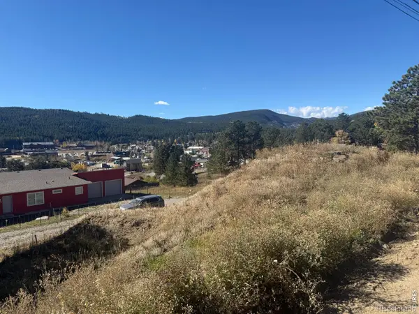 305 Boulder Canyon, Nederland, CO 80466