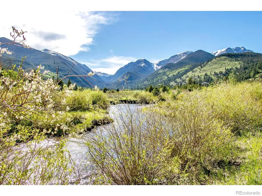 1665 Continental Peaks, Estes Park, CO 80517 - #3