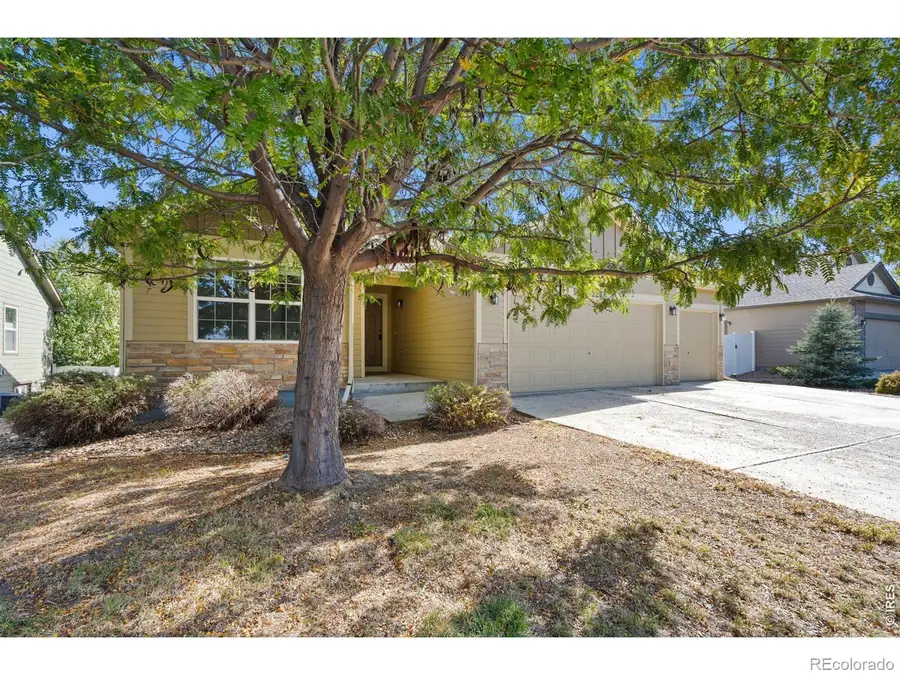 16228 Cinnamon, Mead, CO 80542 - #3