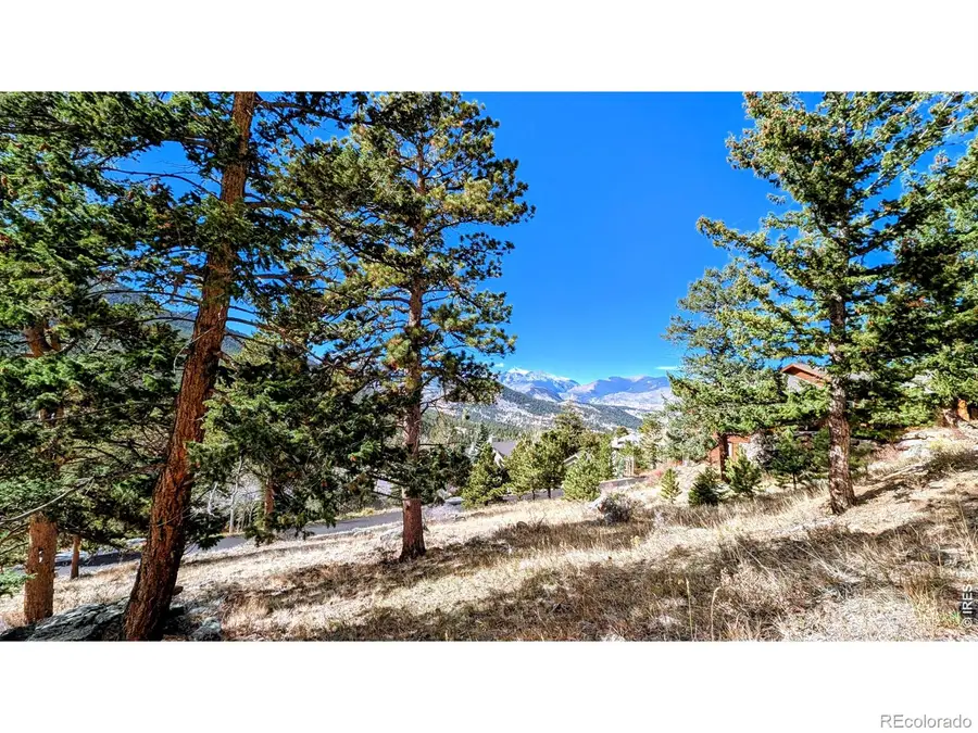 1441 Jungfrau, Estes Park, CO 80517 - #3