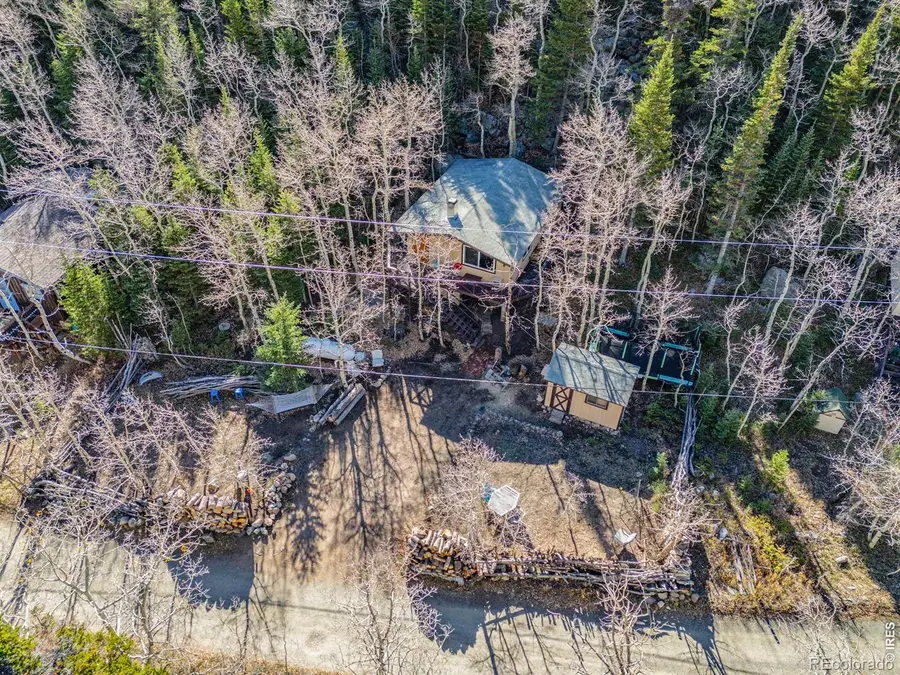 680 Bryan, Nederland, CO 80466 - #3