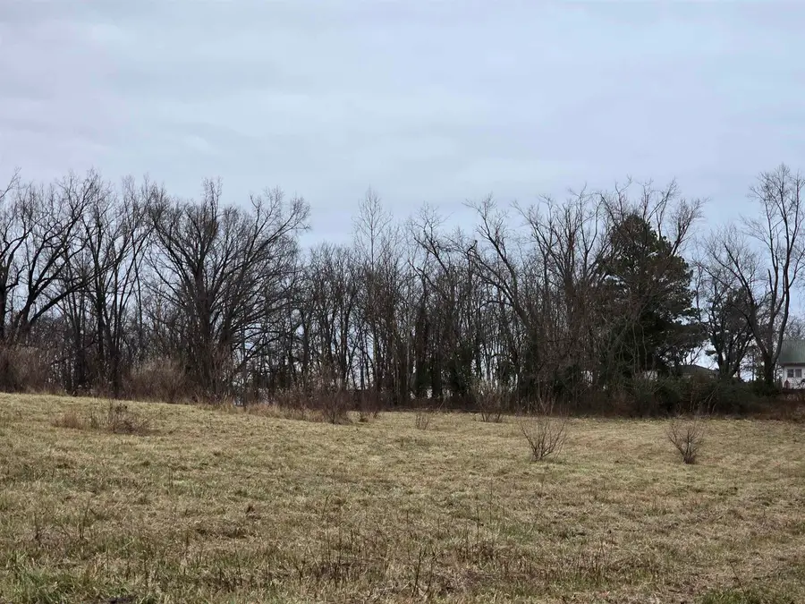 TBD Old Broughton Road, Eldorado, IL 62930 - Image #2