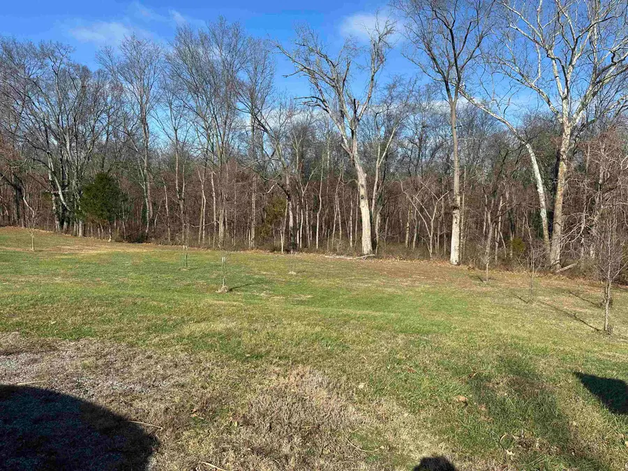 0000 Joyce Lane, Vienna, IL 62995 - Image #3