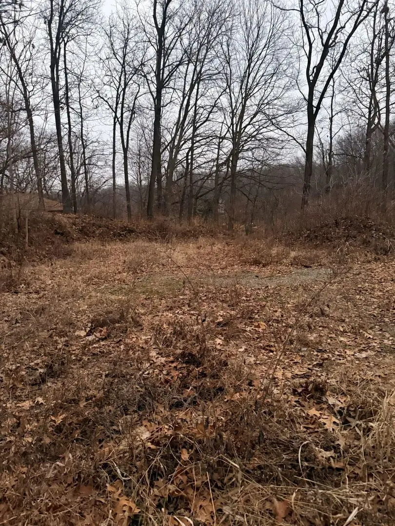 310 Ravine St Street, Port Byron, IL 61275 - Image #3