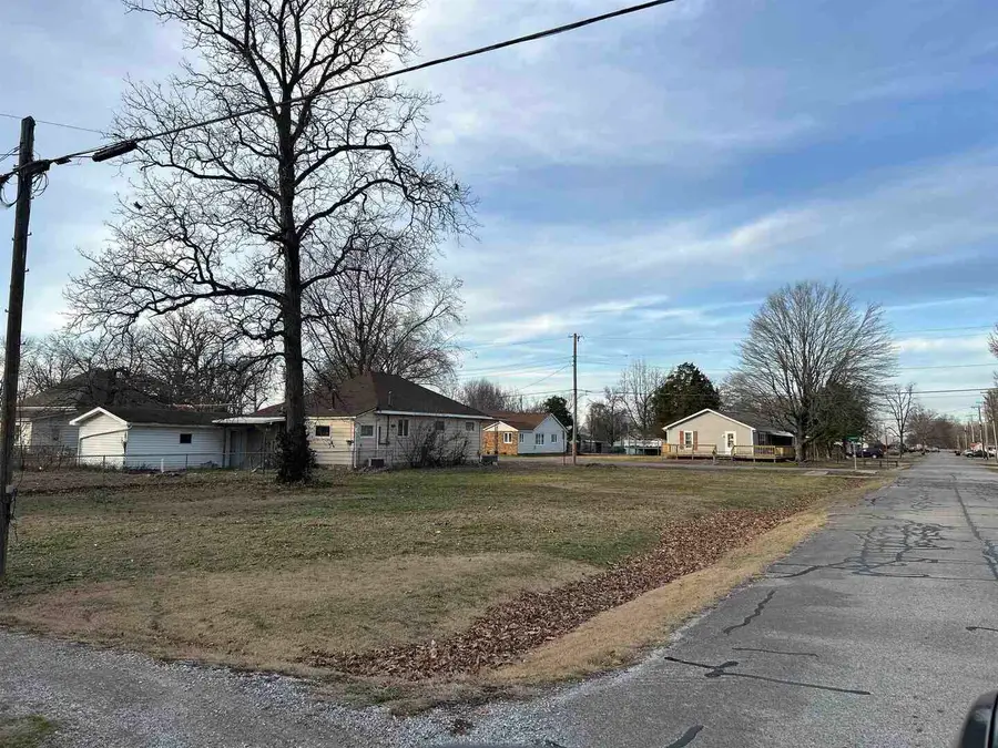 601 W Callie Street, Sesser, IL 62884 - Image #2