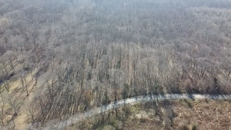 0 E Mozart Road, Woodlawn, IL 62898 - Image #3