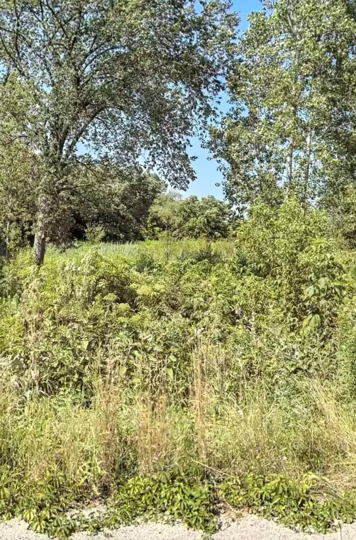 #3