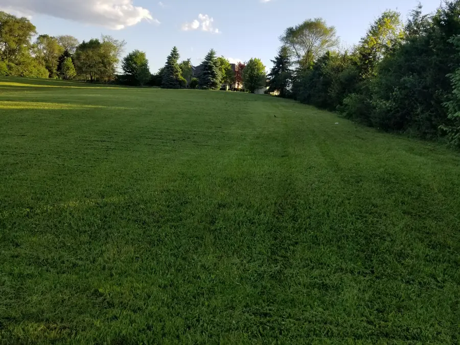 #3