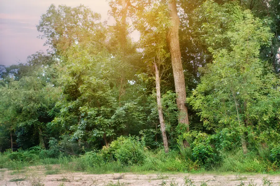 4310 166th Lane, Lowell, IN 46356 - Image #3