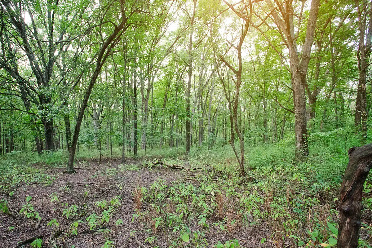 4351 Willard Lane, Lowell, IN 46356 - Image #1