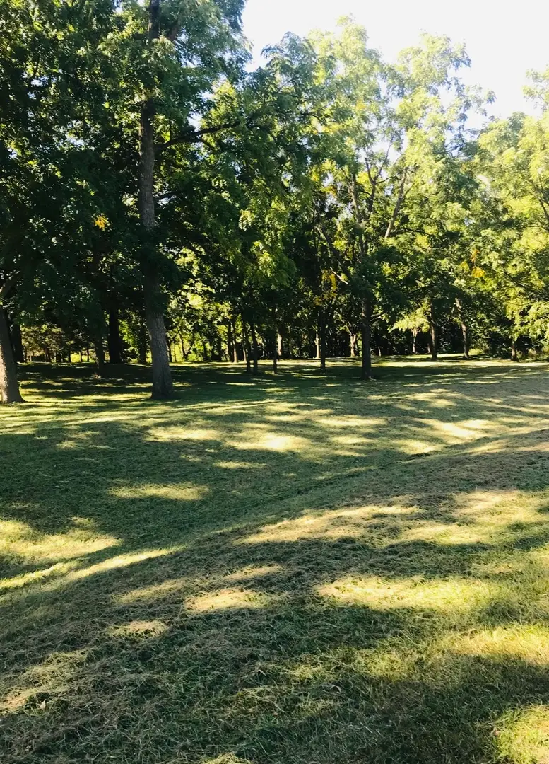 2618 N 3689th Road, Sheridan, IL 60551 - #3