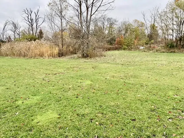 #2