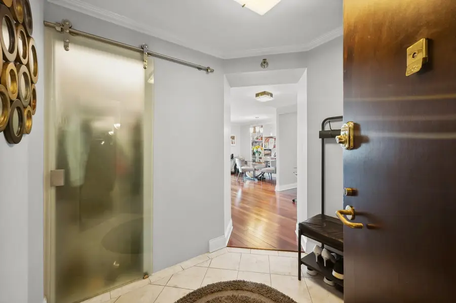 195 N Harbor Drive #203, Chicago, IL 60601 - Image #2