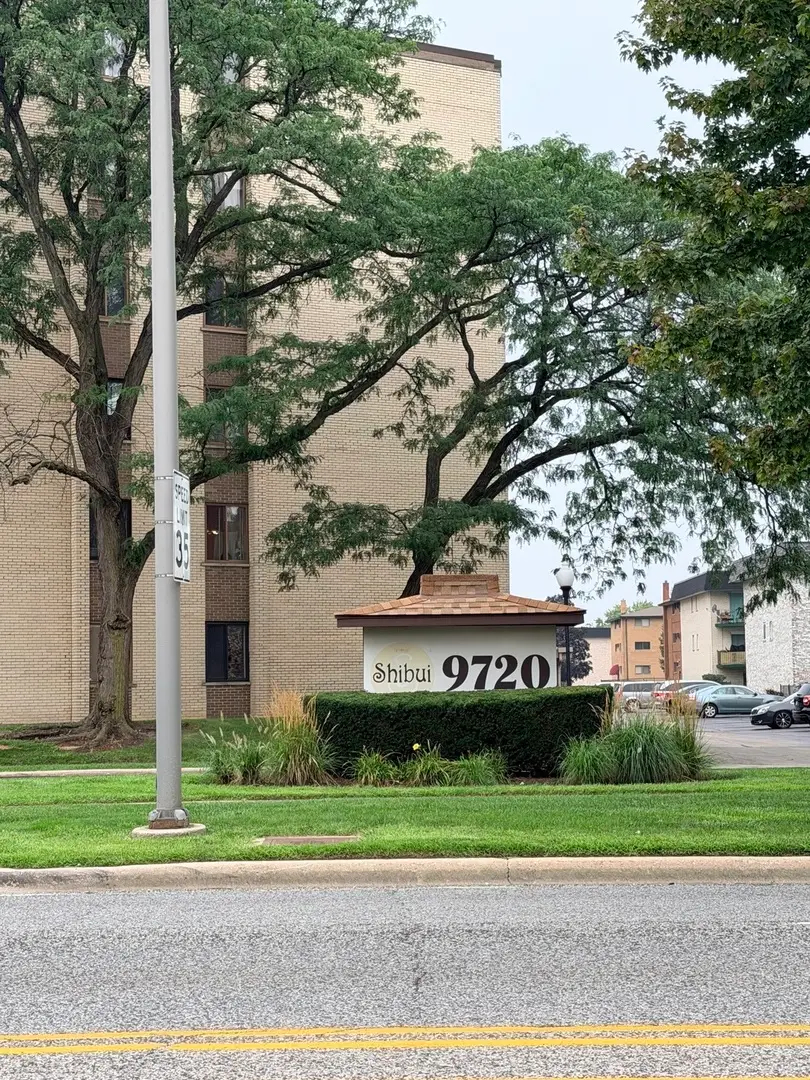 9720 S Pulaski Road #501, Oak Lawn, IL 60453 - #2