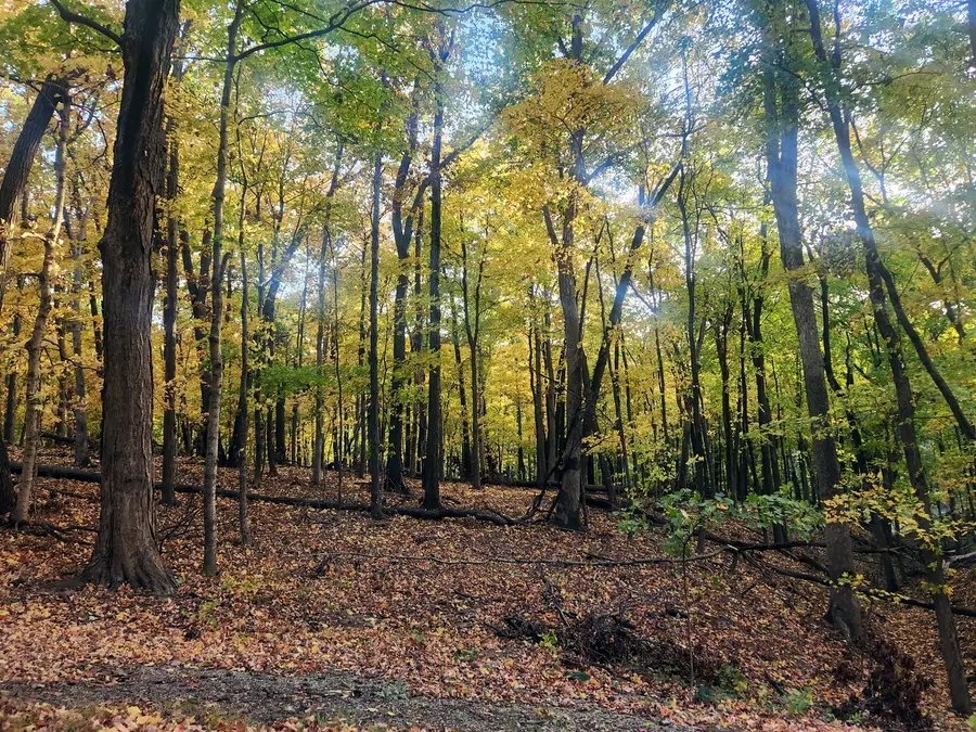 #3