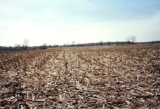 31W255 Roosevelt Road, West Chicago, IL 60185 - #1