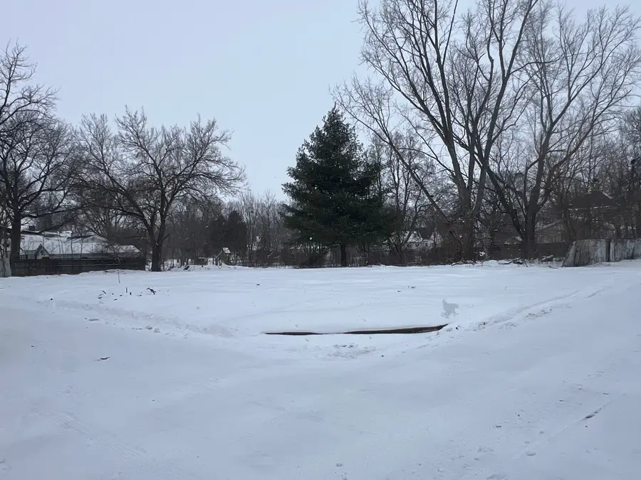 229 E Vine Street, Piper City, IL 60959 - Image #2