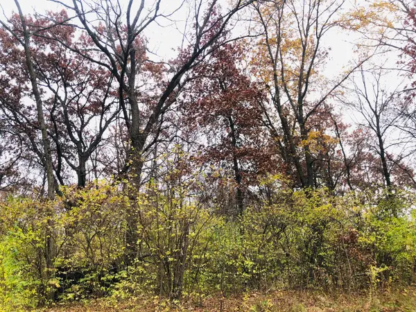 704 Echo (lot 21) Trail, Marengo, IL 60152