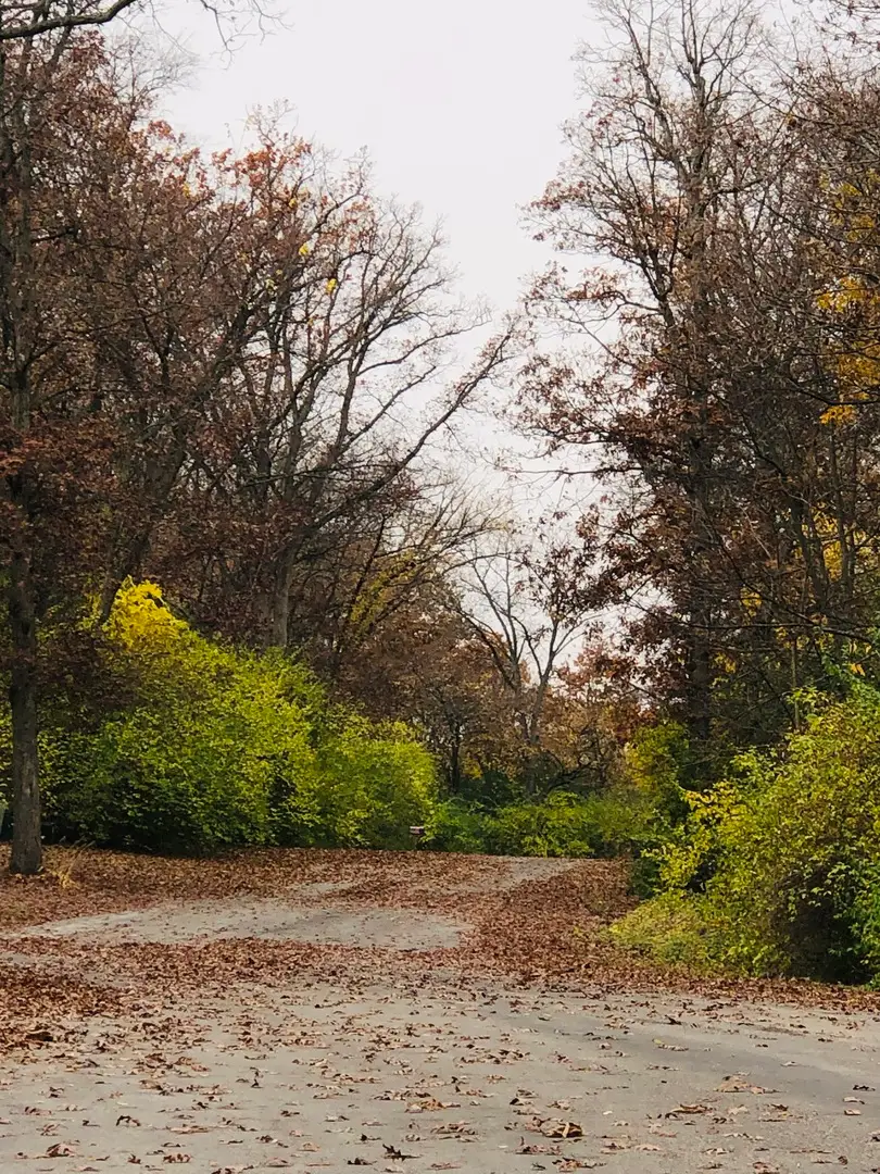 802 Echo (lot 23) Trail, Marengo, IL 60152 - Image #1