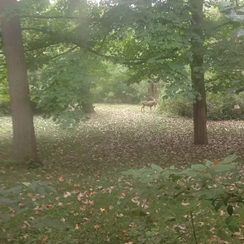 #2